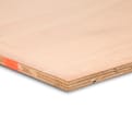 Okoume garantplex 250x122cm FSC product photo