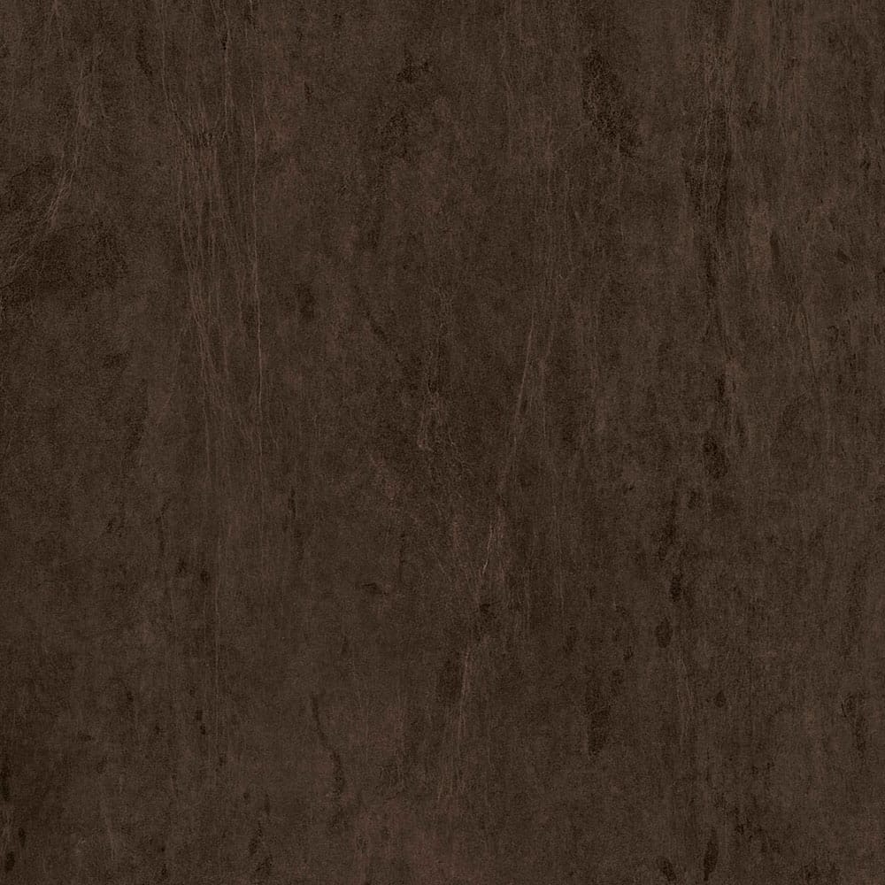 Arpa HPL 3551 Lucida